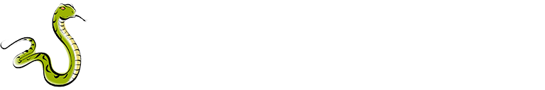 Snake Oil Willie Band snake oil willie band